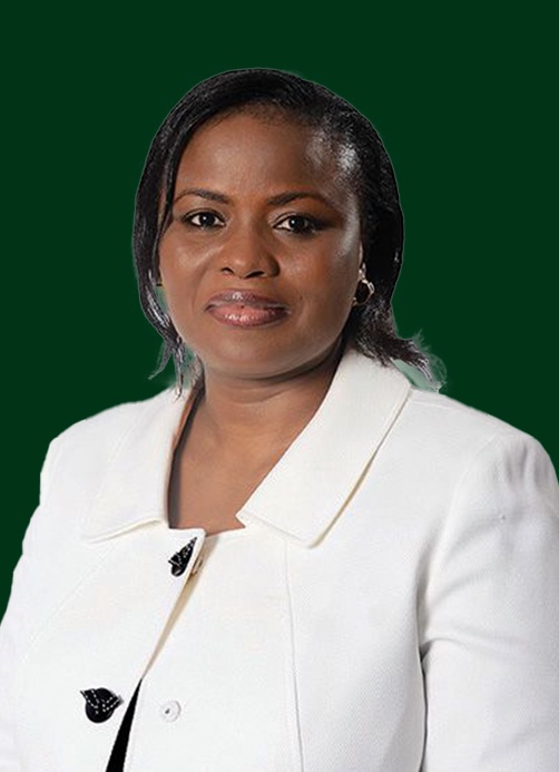 Prof. Aina Adeogun